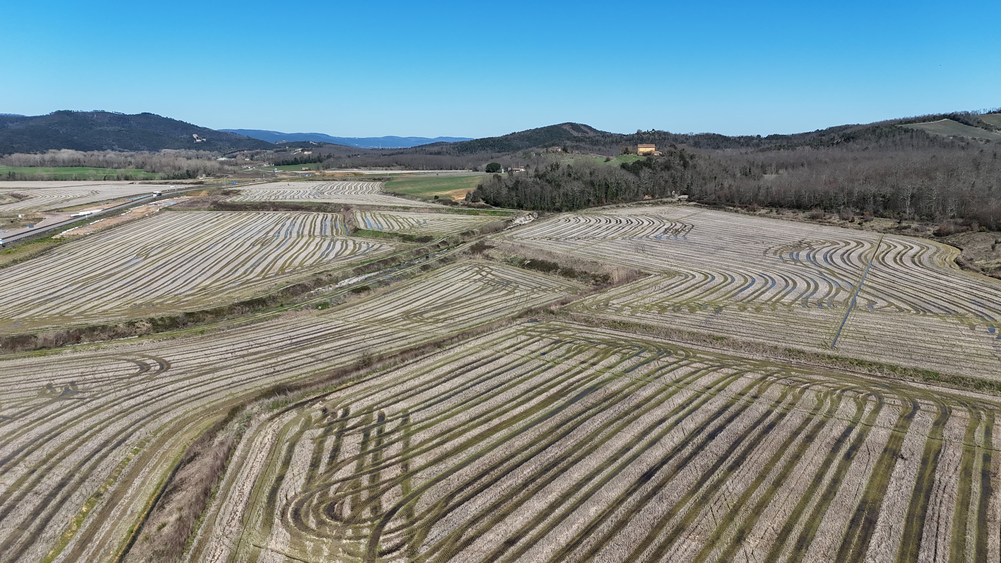 Veduta delle risaie incolte